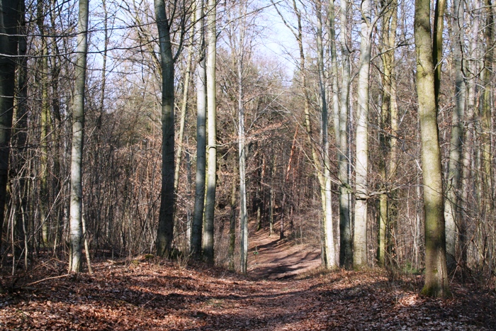 Verwaltung der Gemeinde Wünschendorf/Elster